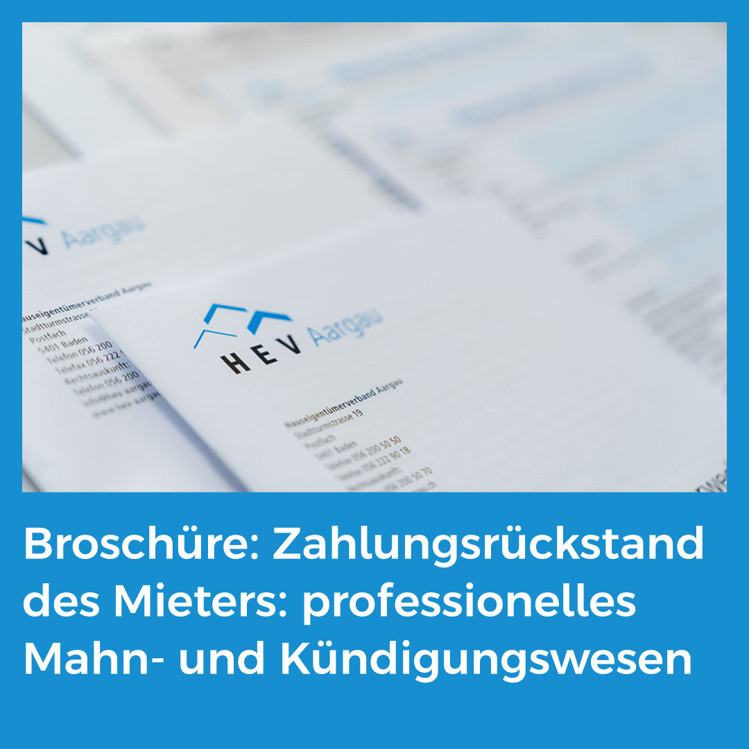 Broschüre: Zahlungsrückstand des Mieters: professionelles Mahn- und Kündigungswesen