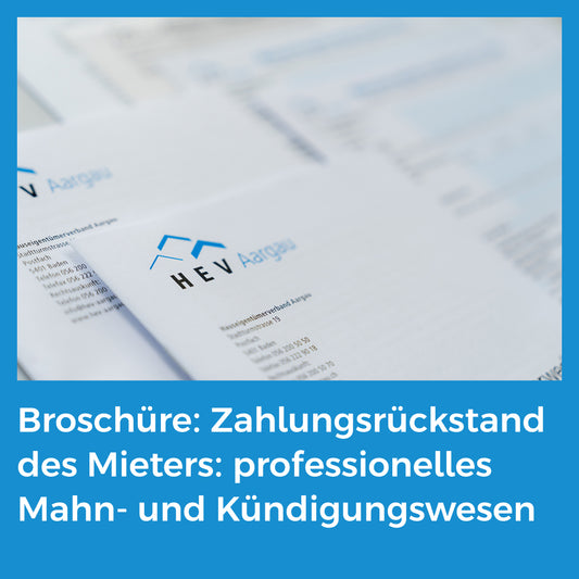 Broschüre: Zahlungsrückstand des Mieters: professionelles Mahn- und Kündigungswesen
